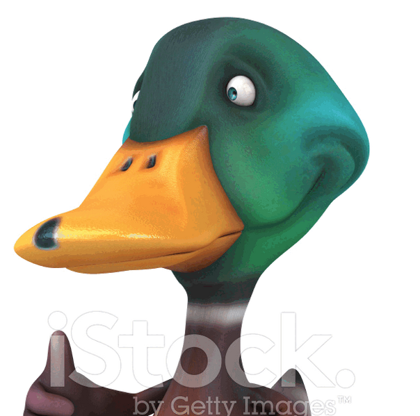 File:Thisj stupid fucking duck.png